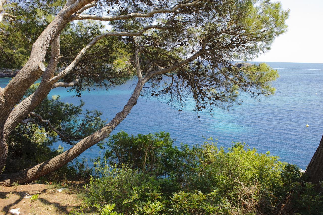 Apartamento Ferrera Park 623 Cala Ferrera  Eksteriør billede